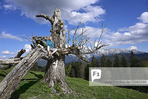 Relaxed woman sitting on dead tree against mountains during sunny day