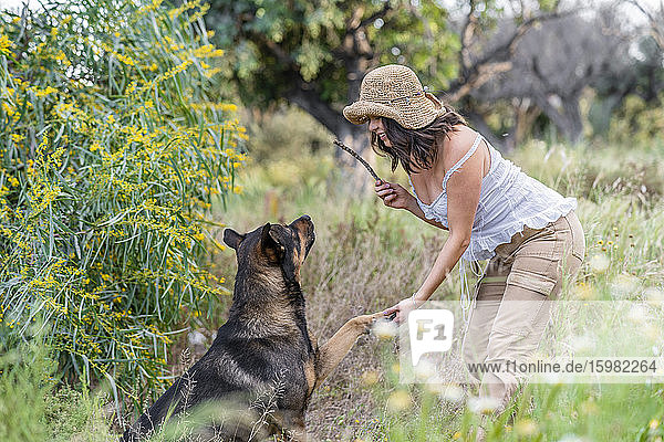 Schöne junge Frau  die einen Stock hält  während sie mit einem Hund bei Pflanzen spielt  Alicante  Provinz Alicante  Spanien