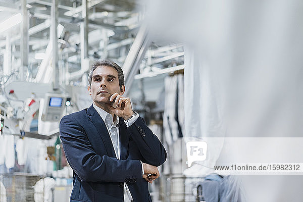 Portrait of a mature businessman in a factory