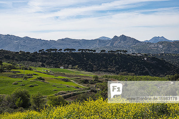 Spanien  Ronda  Landschaft mit Sierra de Grazalema