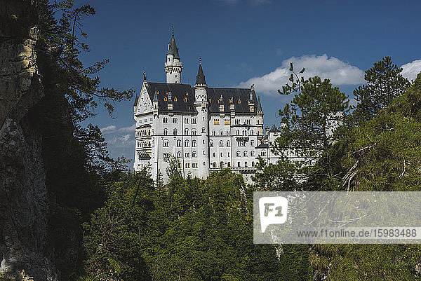 Deutschland  Schwangau  Schloss Neuschwanstein zwischen herbstlichen Bäumen