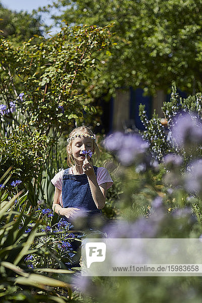 Mädchen mit Gänseblümchenkranz im Kleingarten  das an der Blume riecht