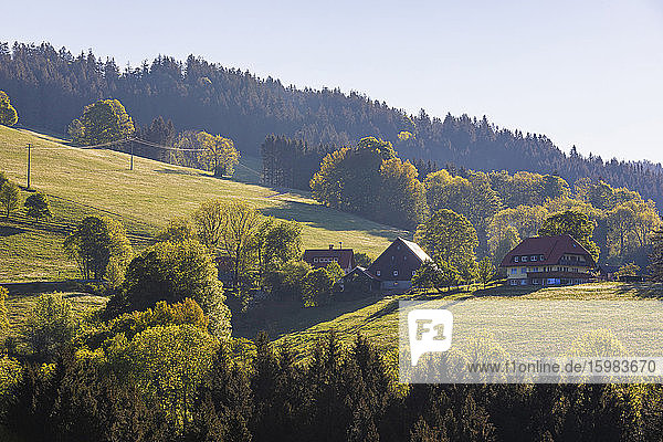 Deutschland  Baden-Württemberg  Sankt Peter  Ländliche Häuser im Schwarzwaldgebiet