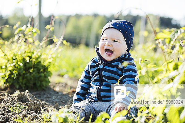 Fröhlicher kleiner Junge sitzt auf einem Hopfenfeld an einem sonnigen Tag