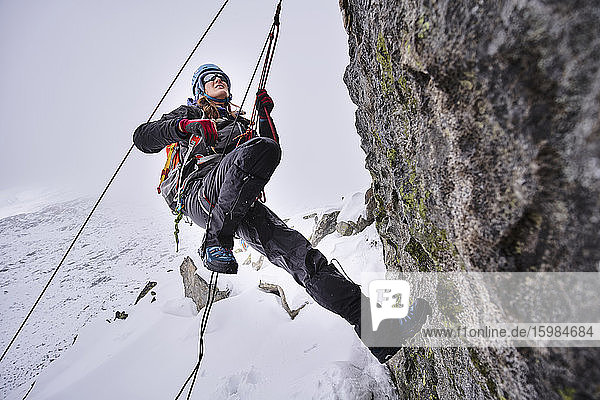 Mature woman climbing at Grossvendediger  Tyrol  Austria