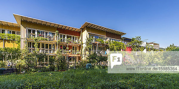 Germany Baden-Wurttemberg Freiburg im Breisgau Lawn in front of houses in modern suburb