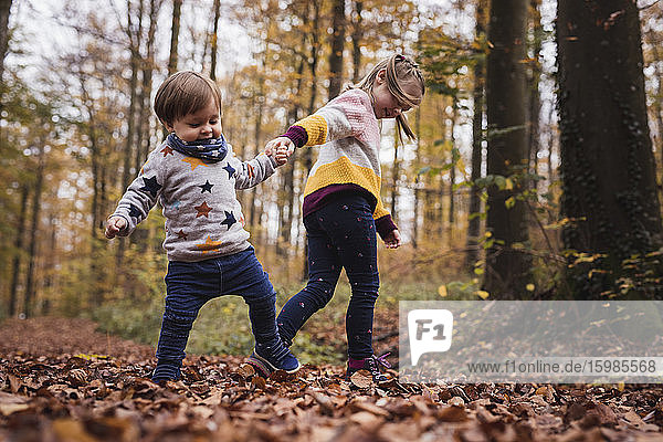 Deutschland  Baden-Wurttenberg  Lenningen  Zwei Kinder spielen im Herbstwald