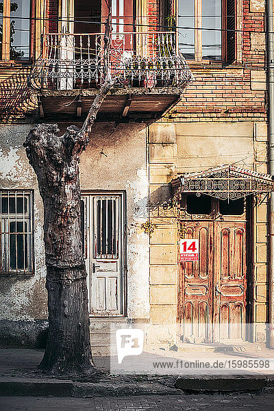 Georgia  Imereti  Kutaisi  Dead tree in front of old building