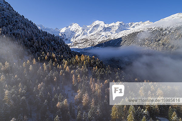 Schweiz  Kanton Graubünden  St. Moritz  Drohnenaufnahme des Nebels über dem bewaldeten Tal des Morteratschgletschers im Herbst