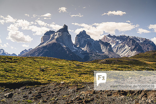 Chile  Guanacos (Lama guanicoe) grazing in Torres Del Paine National Park with Cuernos Del Paine in background