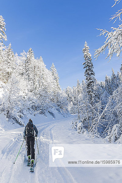 Germany  Bavaria  Reit im Winkl  Female backpacker skiing in winter forest