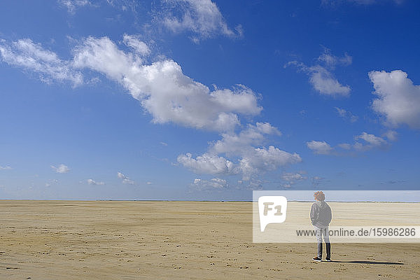 Full length rear view of young man standing at beach while looking at landscape against blue sky on sunny day