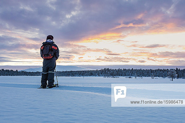 Rückansicht eines Schneeschuhwanderers in Winterlandschaft  Sotkajarvi  Enontekioe  Finnland
