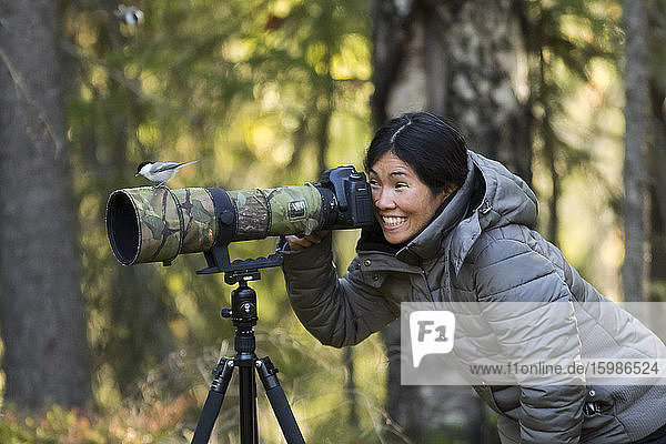 Finland  Kuhmo  North Karelia  Kainuu  Smiling woman with willow tit (Poecile montanus) perching in camera lens in forest