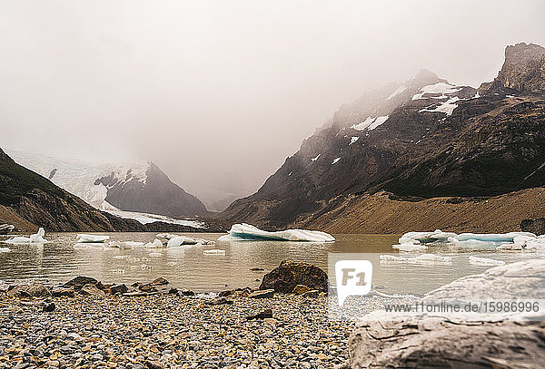 Argentina  Ice floating near rocky shore in Patagonia