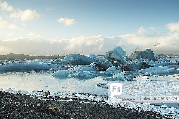 Island  Südisland  Gletschersee Jokulsarlon