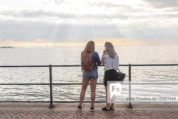 Rear view of friends standing at Oresund bridge by sea against cloudy sky