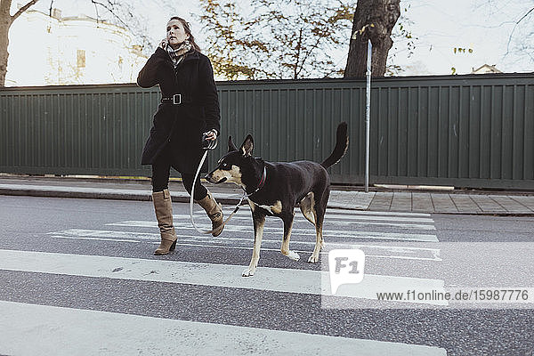 Reife Frau in voller Länge  die mit Hund in der Stadt beim Überqueren der Straße mit dem Handy telefoniert