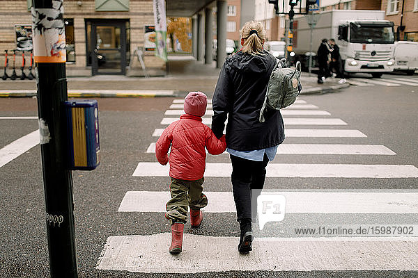 Rückansicht der Großmutter  die die Hand des Enkels beim Überqueren der Straße in der Stadt hält