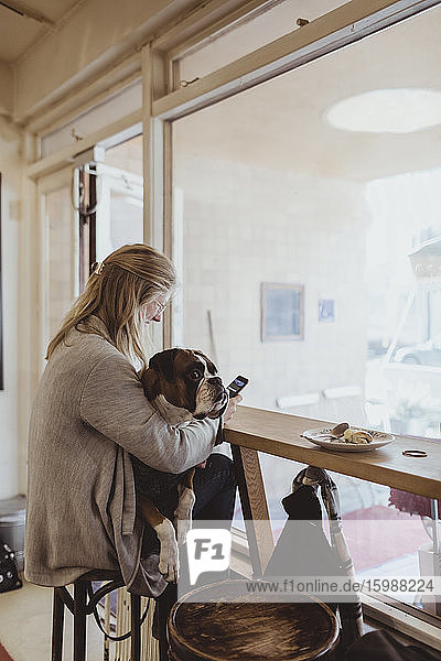 Side view of young female pet owner using smart phone while sitting with boxer dog at cafe