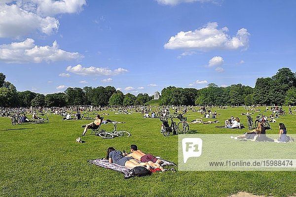 Lawn in the English Garden  in the back Monopteros  Munich  Bavaria  Germany  Europe