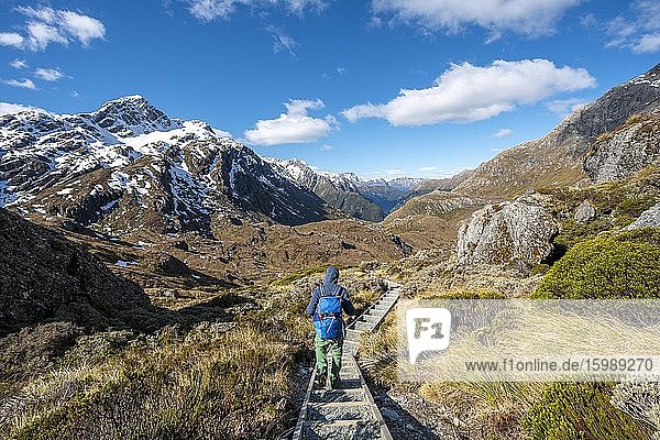 Hiker on the Routeburn Track  view of the Route Burn valley  Mount Aspiring National Park  Westland District  West Coast  South Island