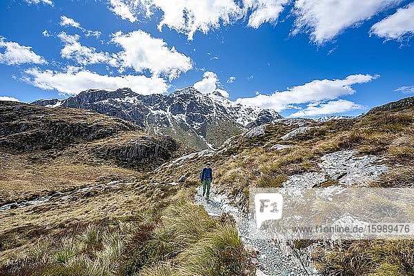 Hikers on the Routeburn Track  Mount Aspiring National Park  Westland District  West Coast  South Island