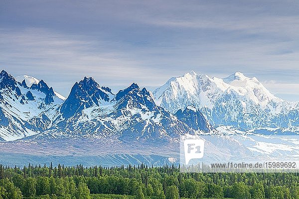 View of Foraker and Hunter mounts from Parks Highway  Alaska  U. S. A.