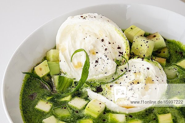 Salad with green sauce and burrata cheese