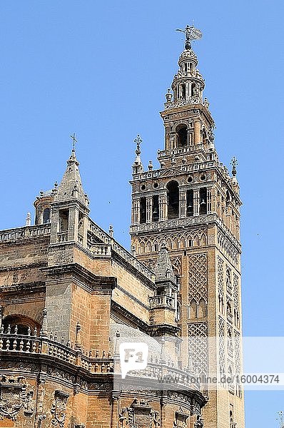 La Giralda. Cathedral of Sevilla. Andalusia. Spain