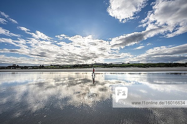 Reflection  young man walking on the wide sandy beach at low tide  Taieri Beach  South Island  New Zealand  Oceania