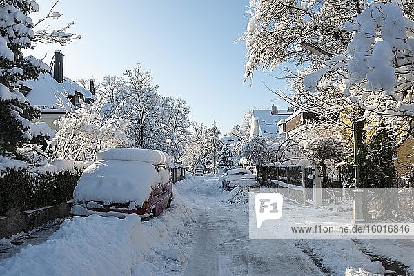 Schnee in engen Straßen mit eingeschneiten Autos im Wohngebiet  München  Oberbayern  Bayern  Deutschland  Europa