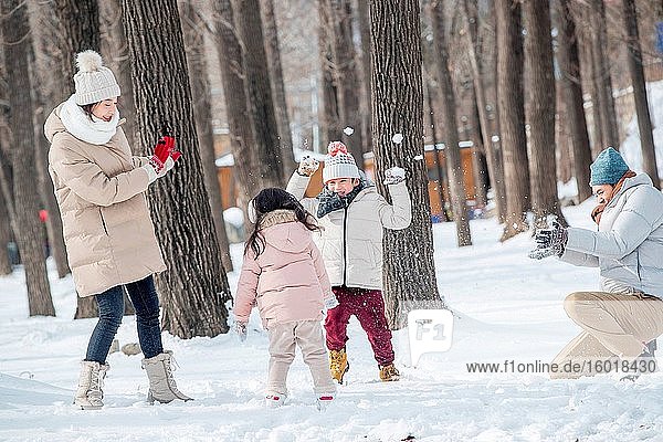 The snow snowball fights the happiness of family
