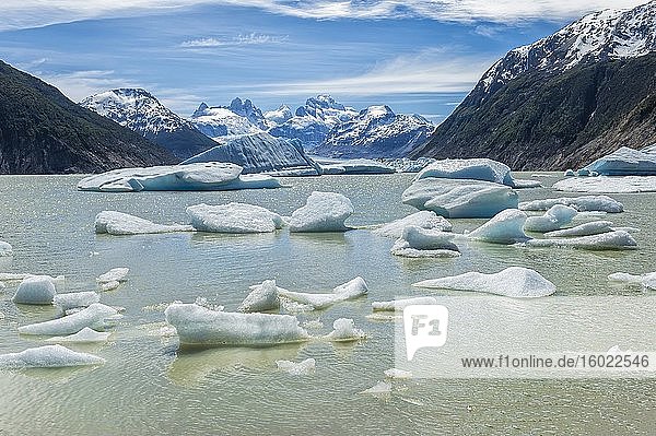 Gletschersee mit kleinen schwimmenden Eisbergen  Laguna San Rafael National Park  Region Aysen  Patagonien  Chile.