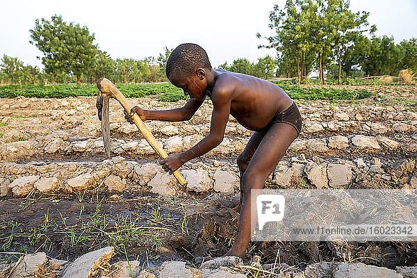 Junge gräbt ein Feld in Karst  Togo