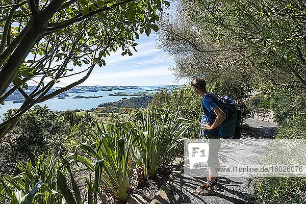 Junger Mann auf Weg im Park  Ausblick auf Otago Halbinsel vom Park des Larnach Castle  Dunedin  Otago Halbinsel  Südinsel  Neuseeland  Ozeanien