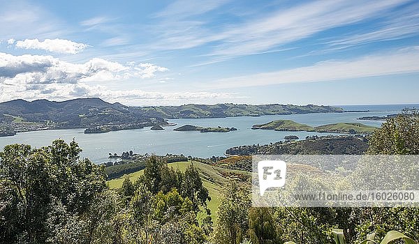 View of Otago Peninsula from Larnach Castle Park  Dunedin  Otago Peninsula  South Island  New Zealand  Oceania