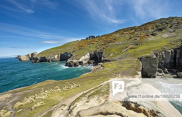 Rocky cliffs of sandstone rocks  Tunnel Beach  Otago  South Island  New Zealand  Oceania