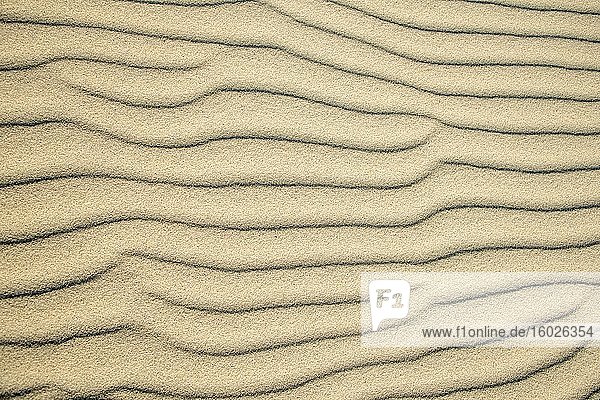 Wellenmuster in hellem Sand  Sandfly Bay  Dunedin  Otago  Otago Peninsula  Südinsel  Neuseeland  Ozeanien