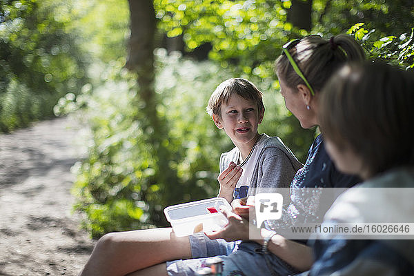 Mutter und Söhne genießen Imbiss im sonnigen Park
