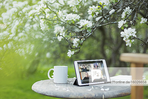 Video-Chat mit Kollegen auf digitalem Tablet-Bildschirm im Garten