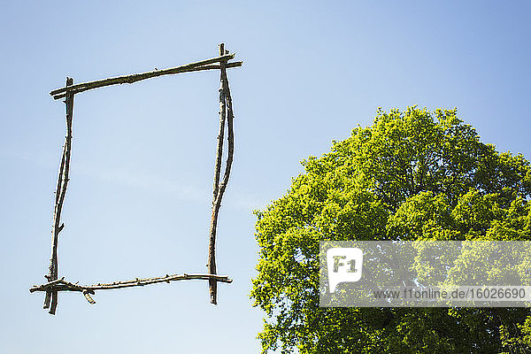 Holzstock-Bilderrahmen vor sonnenblauem Himmel mit Baum