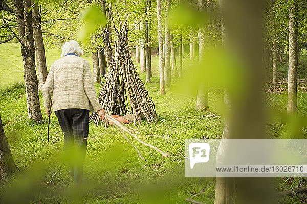 Ältere Frau  die ein Ast-Tipi im Wald herstellt