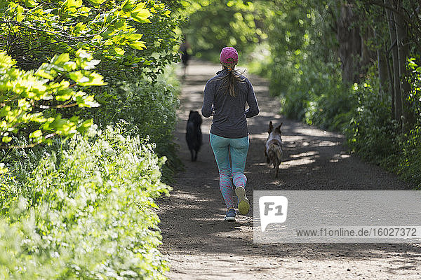Frau joggt auf sonniger Strecke mit Hunden