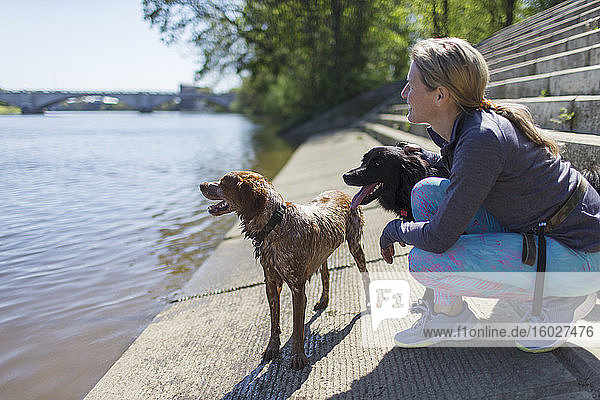 Frau mit nassen Hunden am sonnigen Flussufer