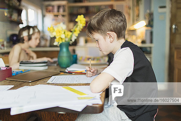 Focused boy homeschooling at dining table