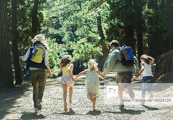 Familie hält Händchen und rennt im Wald
