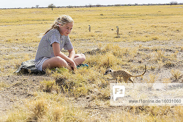 12 year old girl looking at Meerkats  Kalahari Desert  Makgadikgadi Salt Pans  Botswana