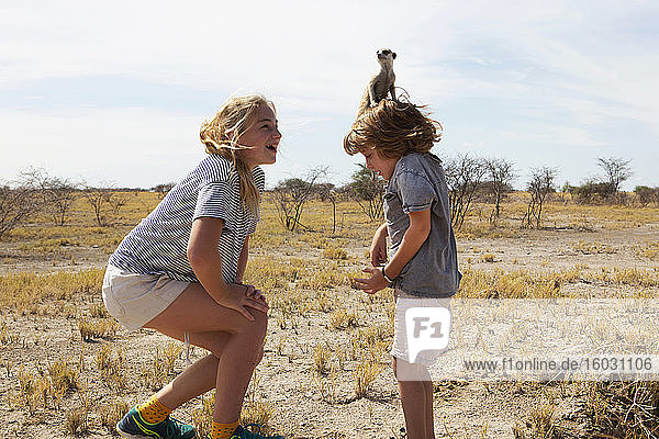 5 year old boy with Meerkat on his head  Kalahari Desert  Makgadikgadi Salt Pans  Botswana