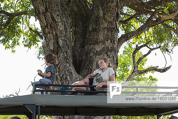 Two children resting on the observation platform of a safari jeep in the shade of a large tree.